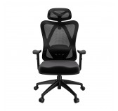 Silla de oficina ergonómica, negro + patas negras