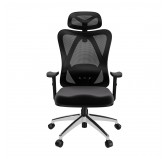 Silla de oficina ergonómica, negro + patas plateadas